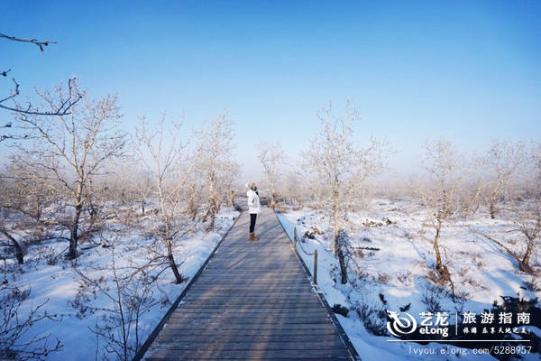 【黑龙江】零下23度--去冰雪黑河不可错过的五大极致体验