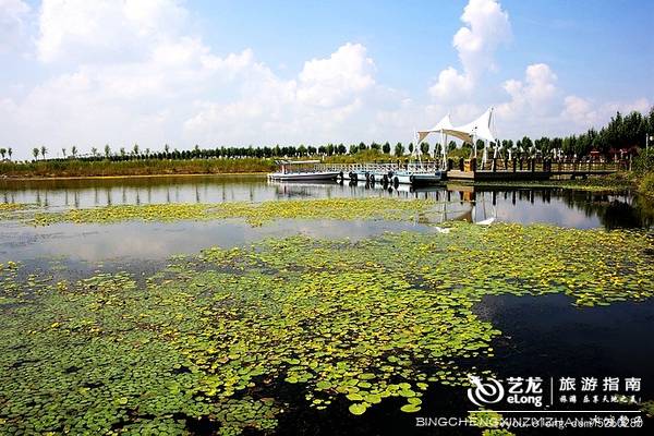 走进黑龙江最具人气十大湿地，醉眼爽心深呼吸！