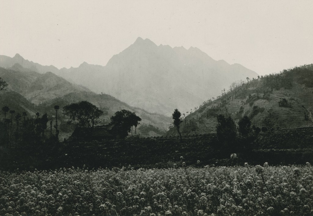 1909年美国地质学家张伯林拍摄的晚清影像（大竹、南充、灌县、成都、乐山、宜宾）（1） - 沉默的麻雀 - 沉默的麻雀的博客