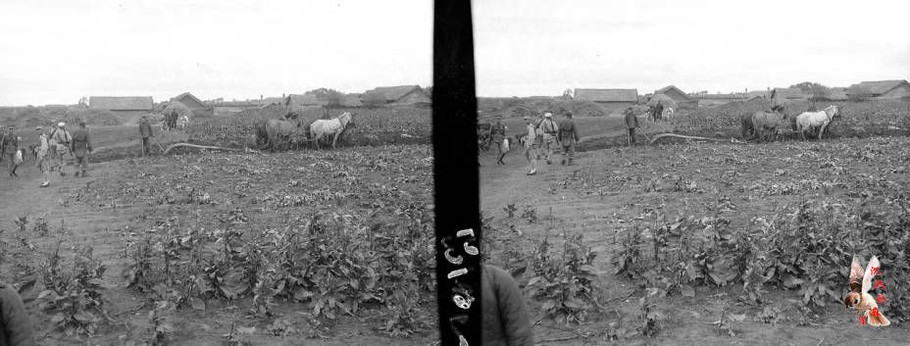 立体老照片：三十年代初黑龙江农村影像【上】 - 沉默的麻雀 - 沉默的麻雀的博客