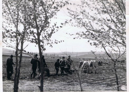 六十年代的黑龙江农村（收藏的老照片）