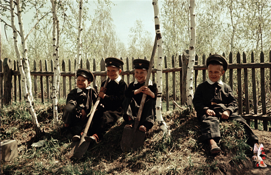 1950年代苏联小学生的室外农学课 - 沉默的麻雀 - 沉默的麻雀的博客