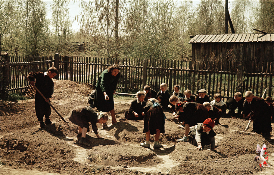 1950年代苏联小学生的室外农学课 - 沉默的麻雀 - 沉默的麻雀的博客